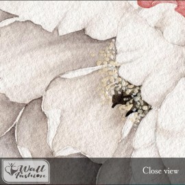 Peony Wallpaper