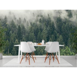 Pine Tree Forest