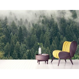 Pine Tree Forest