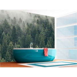 Pine Tree Forest
