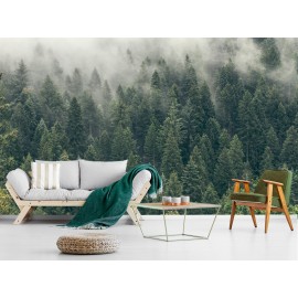 Pine Tree Forest