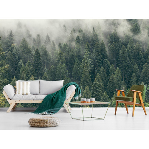 Pine Tree Forest