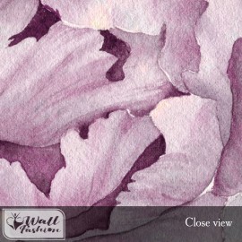 Purple Peony